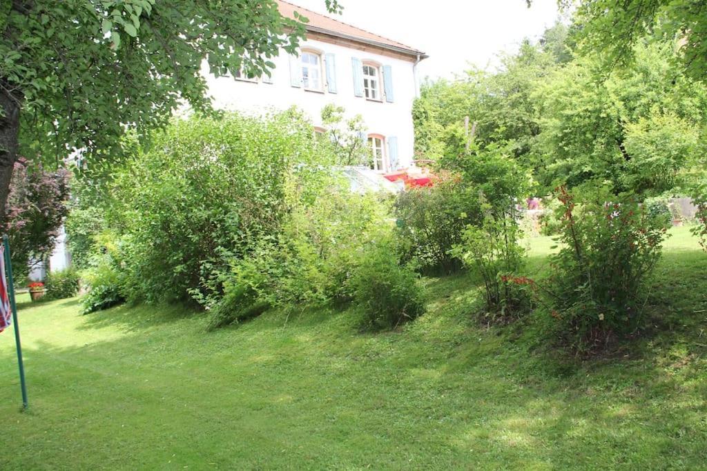 Haus Mit Geschichte In Maehring Apartment ภายนอก รูปภาพ